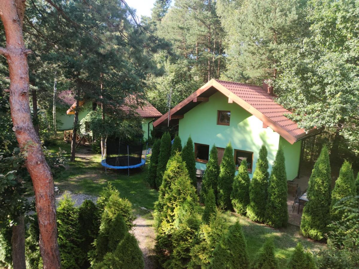 Niezapominajka-Jura Villa Niegowa Exterior photo